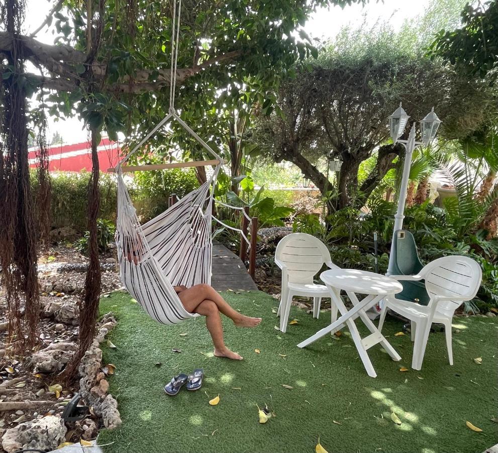 1 Habitacion Con Bano Privado Frente A La Piscina, Maximo Para 4 Personas, No Es La Casa Completa,1Cama Y 1 Sofa-Cama San Vicente Raspeig Екстер'єр фото